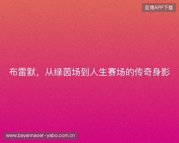 布雷默,从绿茵场到人生赛场的传奇身影 布雷默,从绿茵场到人生赛场的传奇身影