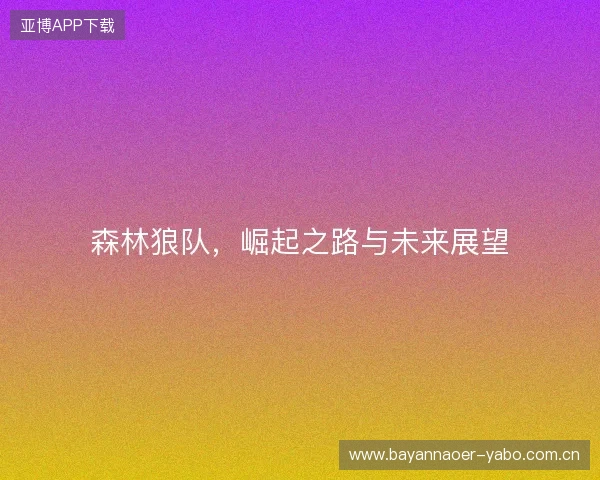 森林狼队，崛起之路与未来展望