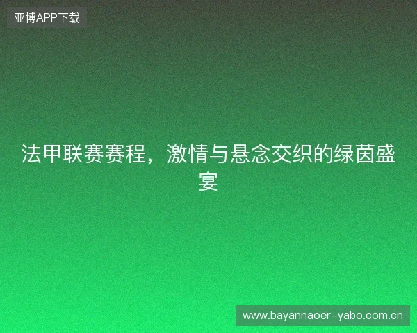 法甲联赛赛程，激情与悬念交织的绿茵盛宴