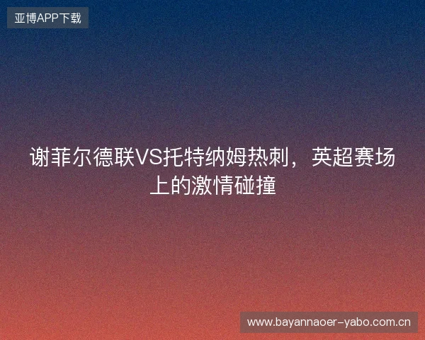 谢菲尔德联VS托特纳姆热刺，英超赛场上的激情碰撞